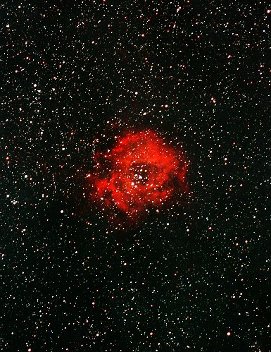 rosette nebula